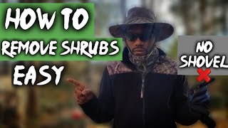 HOW TO REMOVE SHRUBS 🌳EASY  No Shovel❌Landscape Plant Removal [upl. by Nylle]