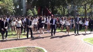 University of Pennsylvania Flash Mob  GANGNAM STYLE [upl. by Eulau]