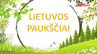 ✅ Lietuvos paukščiai  SmartkinderTV  Filmukai vaikams lietuviškai [upl. by Kronick507]