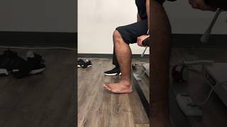 Seated dorsiflexion [upl. by Rodina]