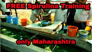 FREE online Spirulina Farming Training  only Maharashtra  7057700035 [upl. by Anirbas]