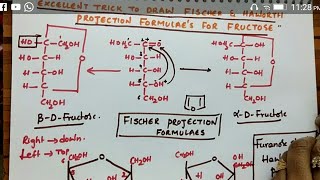 Fischer amp Haworth projection formulas for Fructose Biomolecules class 12 chemistry [upl. by Avner]