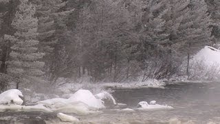 Nature Penobscot River [upl. by Stetson287]