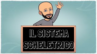 Il sistema scheletrico [upl. by Naoh440]