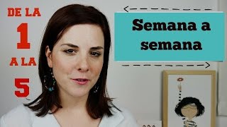 PRIMEROS SINTOMAS de EMBARAZO  PRIMER MES  SEMANAS 15 [upl. by Ferren]