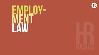 HR Basics Employment Law [upl. by Felipa]