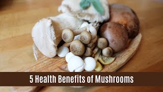 5 Health Benefits of Mushroom [upl. by Lallage660]