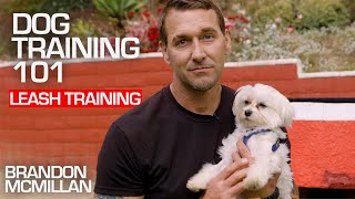 Dog Training 101 Leash Training  Brandon McMillan [upl. by Bathsheba567]