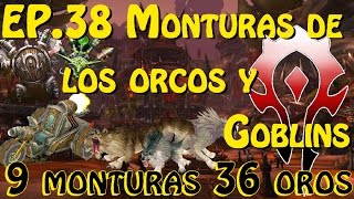 Monturas wow  EP38  Monturas de los orcos y goblins  9 monturas por 36 oros [upl. by Acirt399]