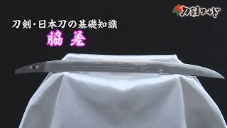 【刀剣ワールド】刀剣・日本刀の基礎知識～脇差～｜YouTube動画 [upl. by Anaxor]