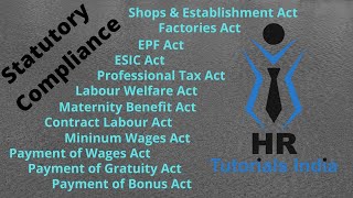 Statutory Compliance  Labour Law Compliance  HR Tutorials India  What is Statutory Compliance [upl. by Rede]