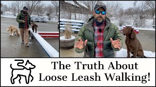 Puppy Training The Truth About Loose Leash Walking [upl. by Nae961]