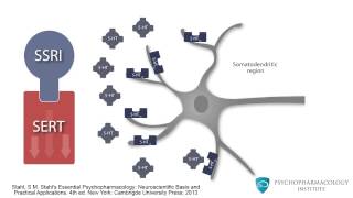 Mechanism of SSRIs Monoamine Theory and the Role of BDNF [upl. by Dirgni]