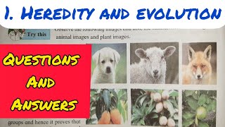 10th Std  Science 2  Chapter 1 HEREDITY AND EVOLUTION QUESTIONS AND ANSWERSEXERCISE  SSC [upl. by Lorine]