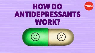 How do antidepressants work  Neil R Jeyasingam [upl. by Einad427]