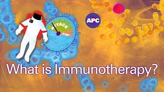 Cancer Immunotherapy 101 with Dr E John Wherry [upl. by Sall416]