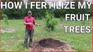 How and when to fertilizing fruit trees [upl. by Nebuer982]