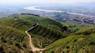 Discover The Wines of the Rhone Valley Part 1 of 3 [upl. by Neemsay]