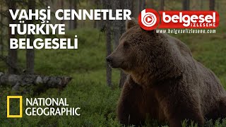 Vahşi Cennetler Türkiye Belgeseli  Türkçe Dublaj [upl. by Atiuqihs]