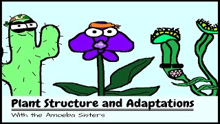 OLD VIDEO Plant Structure and Adaptations [upl. by Nilekcaj632]