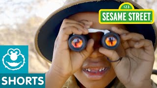 Sesame Street Take A Safari [upl. by Jori]