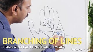 Branching of Lines in Hand  Palmistry [upl. by Hadsall]