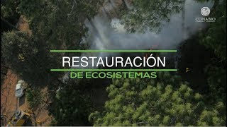 Restauración de ecosistemas [upl. by Halford]