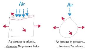 Inhaling and Exhaling  How breathing works [upl. by Breen823]