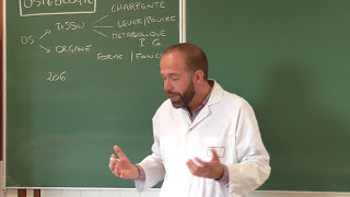 Anatomie générale 1  Cours dostéologie générale [upl. by Teece18]