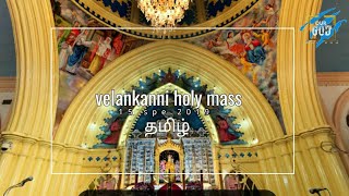 velankanni live mass today  holy mass in tamil velankanni church velankanni live [upl. by Eelimaj623]