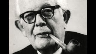 Jean Piaget  The Theory of Cognitive Development [upl. by Clerissa466]