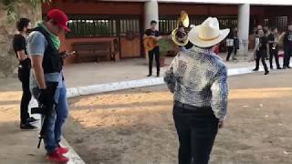 ASI SON LAS FIESTAS DE NARCOS EN SINALOA • MÉXICO 🇲🇽 [upl. by Eremaj]