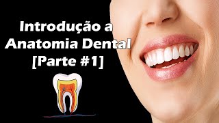 Introdução à Anatomia Dental  Faces e Divisão Anatômica dos Dentes  Parte 1 [upl. by Airdnola327]