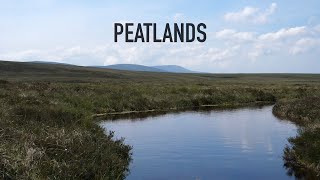 5 in Five Peatlands [upl. by Zullo]