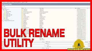 Como renombrar archivos con Bulk Rename Utility [upl. by Anais740]