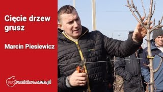 Cięcie młodych drzew grusz Marcin Piesiewicz [upl. by Ahsinid]