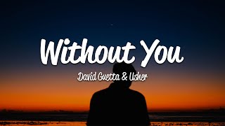 David Guetta  Without You Lyrics ft Usher [upl. by Kubetz]