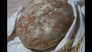 Pane Integrale Fatto in Casa [upl. by Hnil]