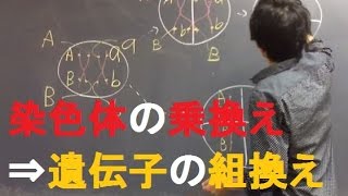 染色体の乗換え・遺伝子の組換え 高校生物 [upl. by Helms]