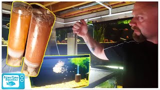 How to Set Up a Baby Brine Shrimp Hatchery [upl. by Shurlock]