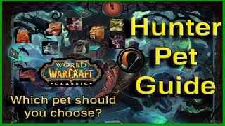 A Guide for Hunter Pets  World of Warcraft Classic [upl. by Silvester]