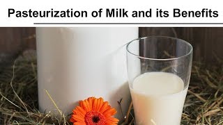 Pasteurization of Milk and its Benefits [upl. by Ruzich586]