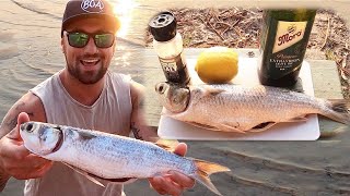 How To Catch Mullet Using A Float amp Bread  Catch N Cook [upl. by Osnofledi]