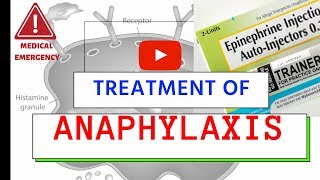 Treatment of Anaphylaxis  Medical Emergency  Must Know [upl. by Camilo543]