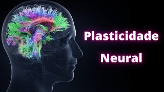 Neuroplasticidade – Fisiologia Humana [upl. by Waxler377]