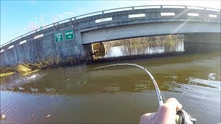 I Found the BEST SPOT Incredible Pike Fishing [upl. by Ioves]