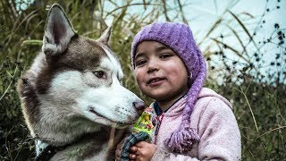 STORY OF SEEMA  THE HIMALAYAN HUSKY [upl. by Aisila]