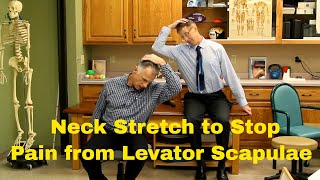 Fastest Neck Stretch to Stop Pain from Levator Scapulae [upl. by Janna]