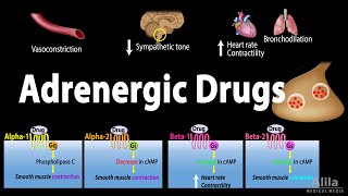 Adrenergic Drugs  Pharmacology Animation [upl. by Ansley]