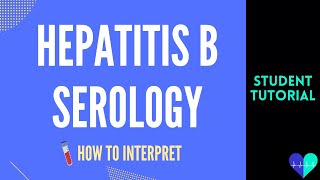 Hepatitis B serology SIMPLIFIED [upl. by Arta640]